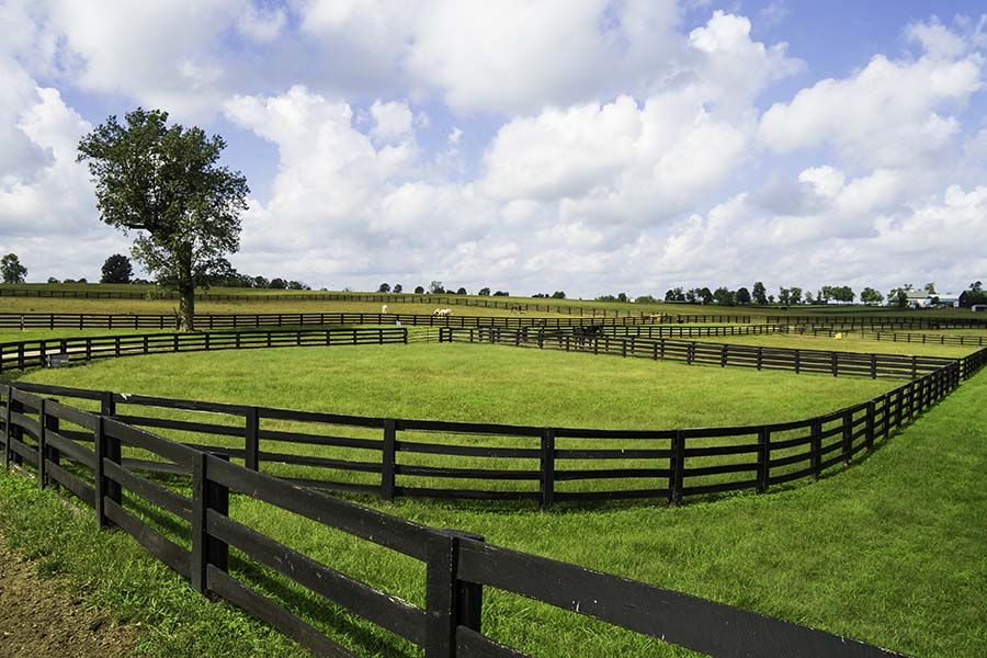 Louisville KY - Landscape Of Horse Ranch In Louisville Kentucky