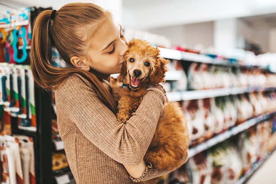 Pet Business Insurance - Young and Joyful Girl Shopping in a Pet Store with Her New Poodle Puppy and Giving Him with a Kiss